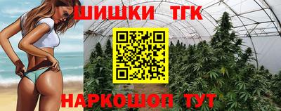 гашик Тара